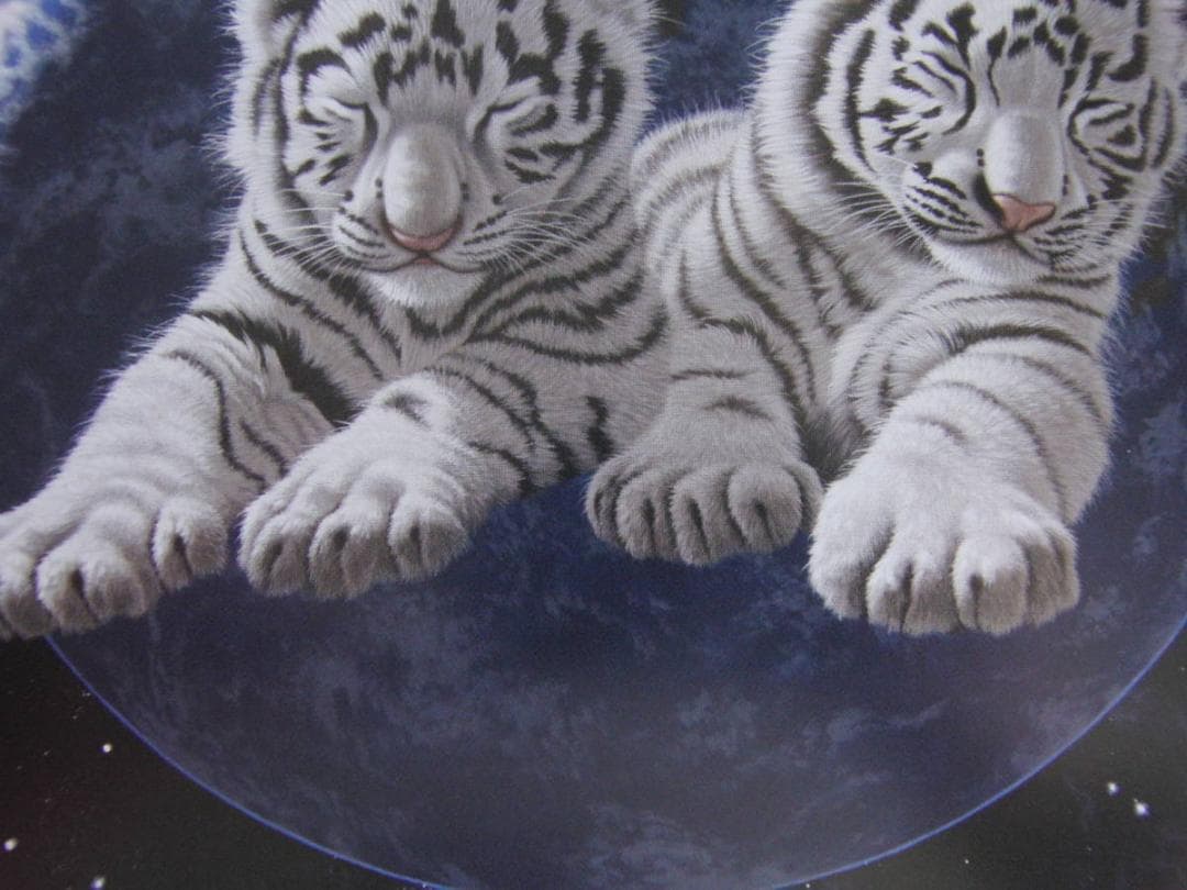 シム・シメール、【SOURCE OF ALL】、希少な額装用画集より、状態良好