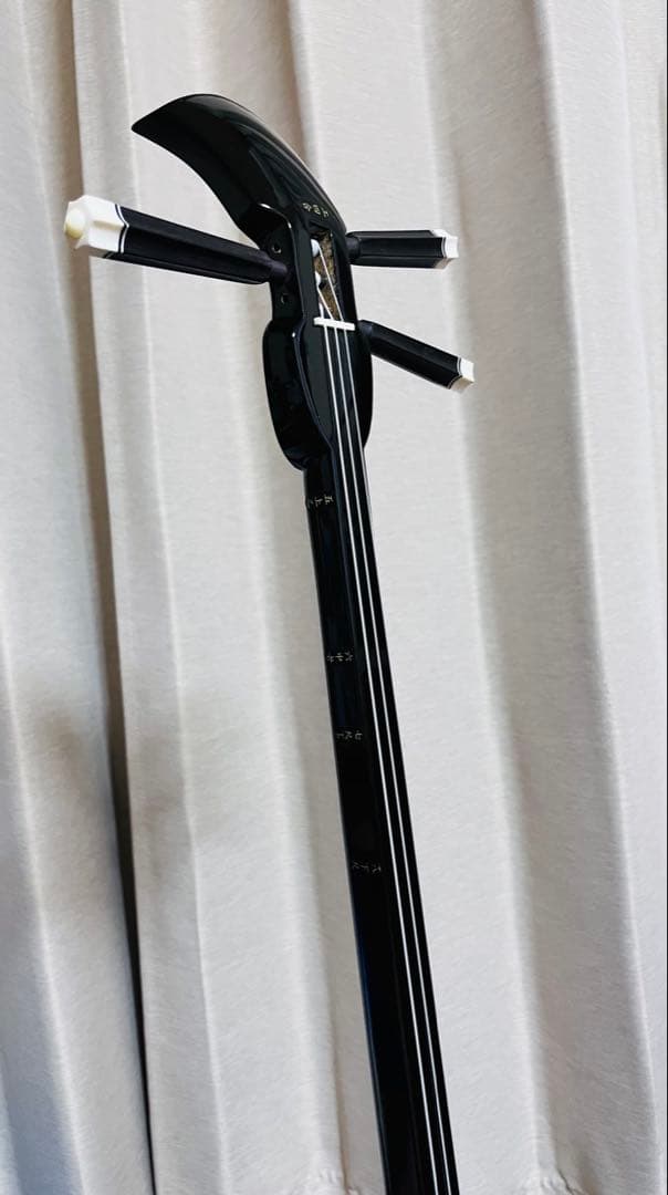 極美品⭐︎沖縄三線 人工革 入門セット ソフトケース付 付属品 多数