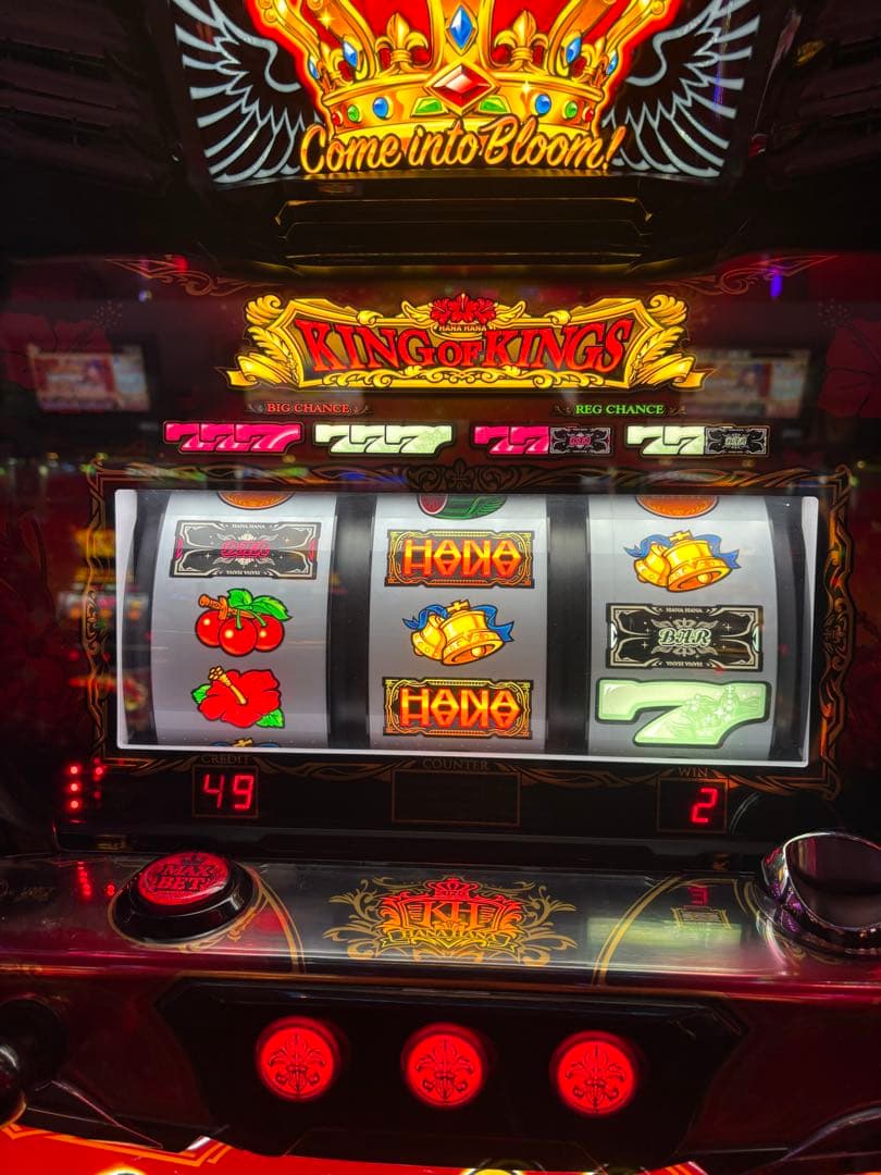 S キングハナハナSP-30