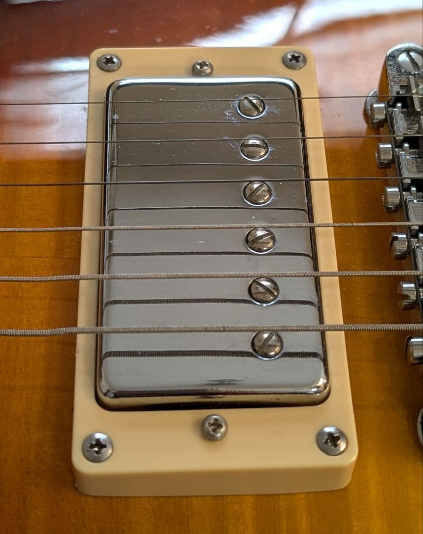 グラスルーツ レスポールタイプ エントリーレベル - メルカリ