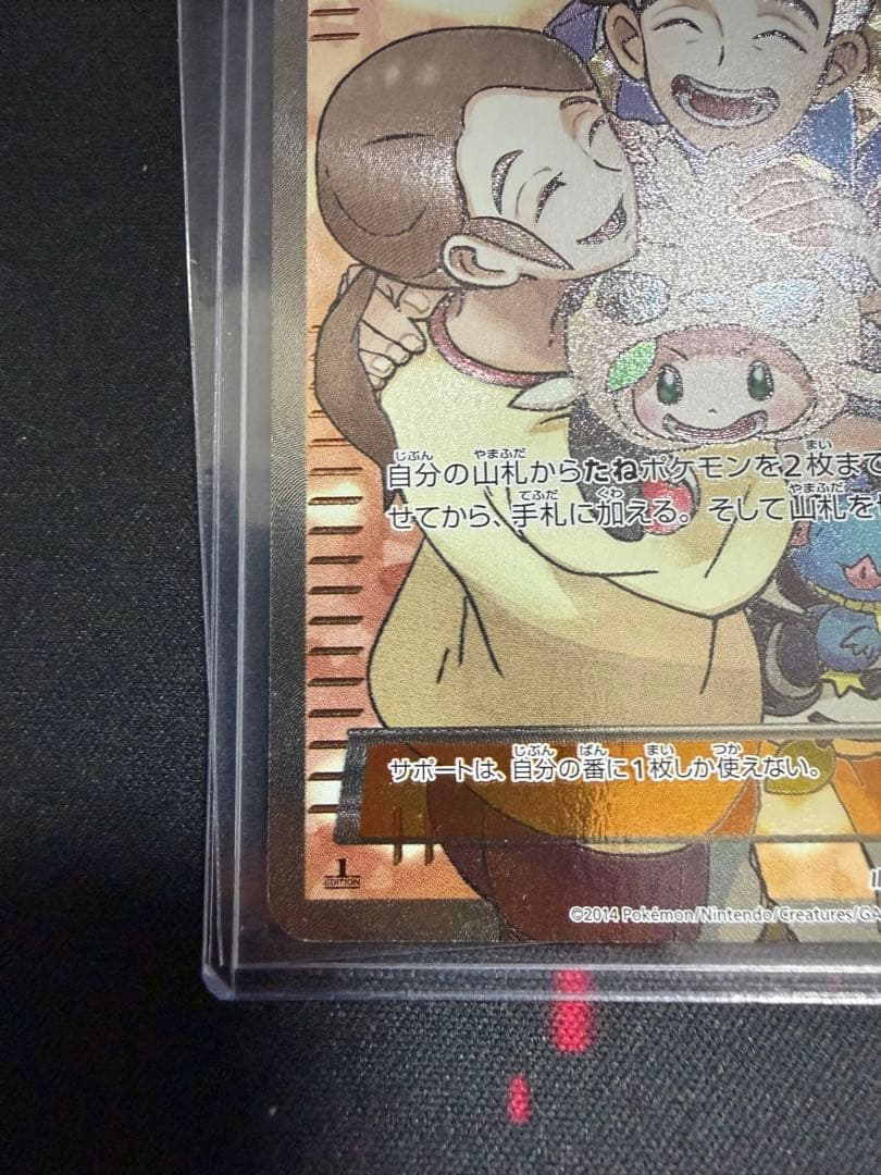 ポケモンだいすきクラブ SR XY2 ワイルドブレイズ 087/080 - メルカリ