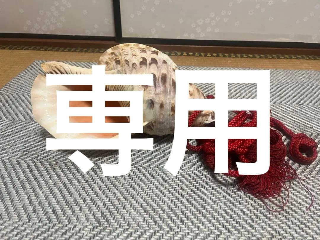 貝の楽器 赤い紐付き　ホラガイ