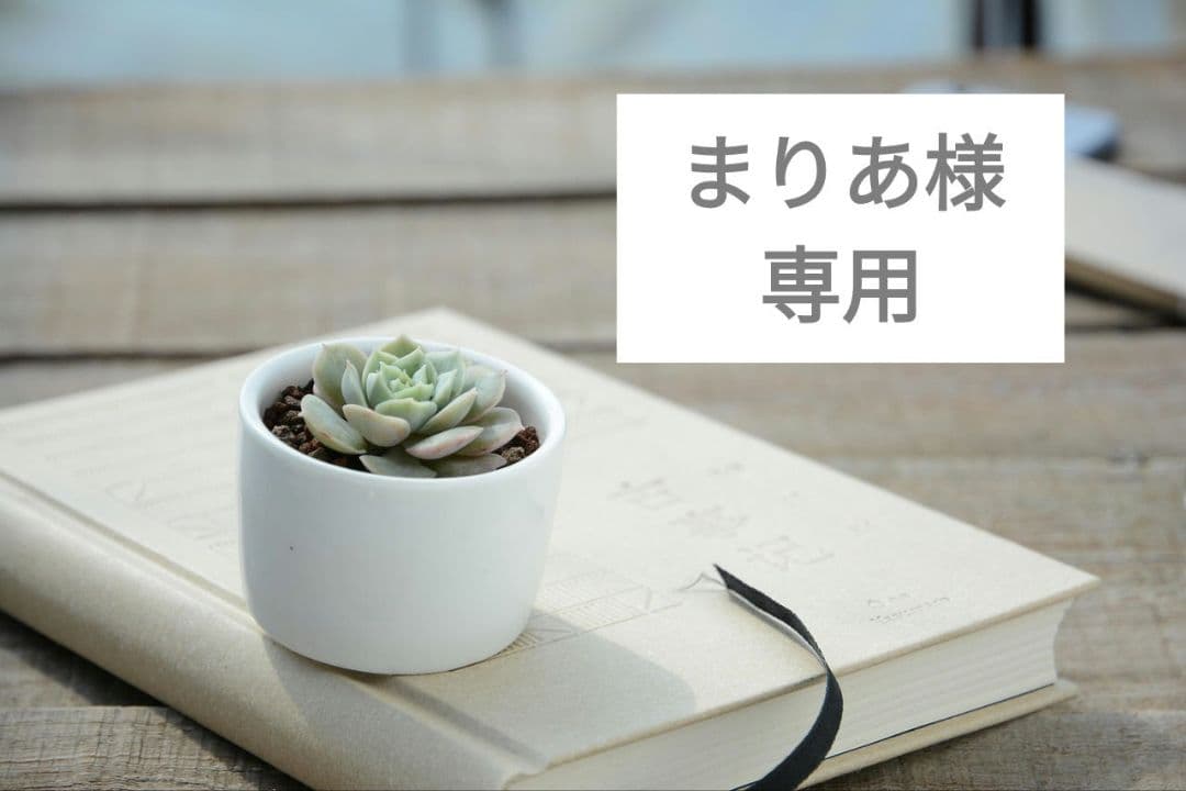 定価2万【新品】PINUE レースボレロ＆ドレスセット ネイビー