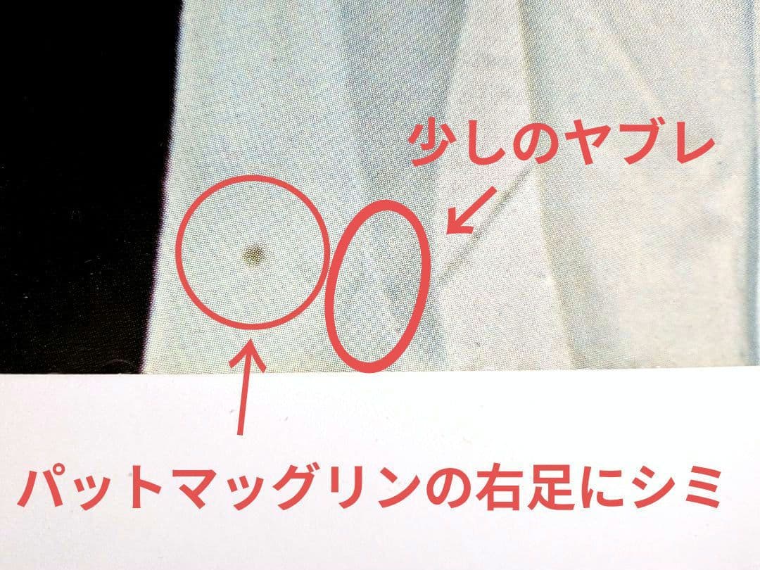 ベイ シティ ローラーズ 1976年 パット•マッグリン初来日 プロモ