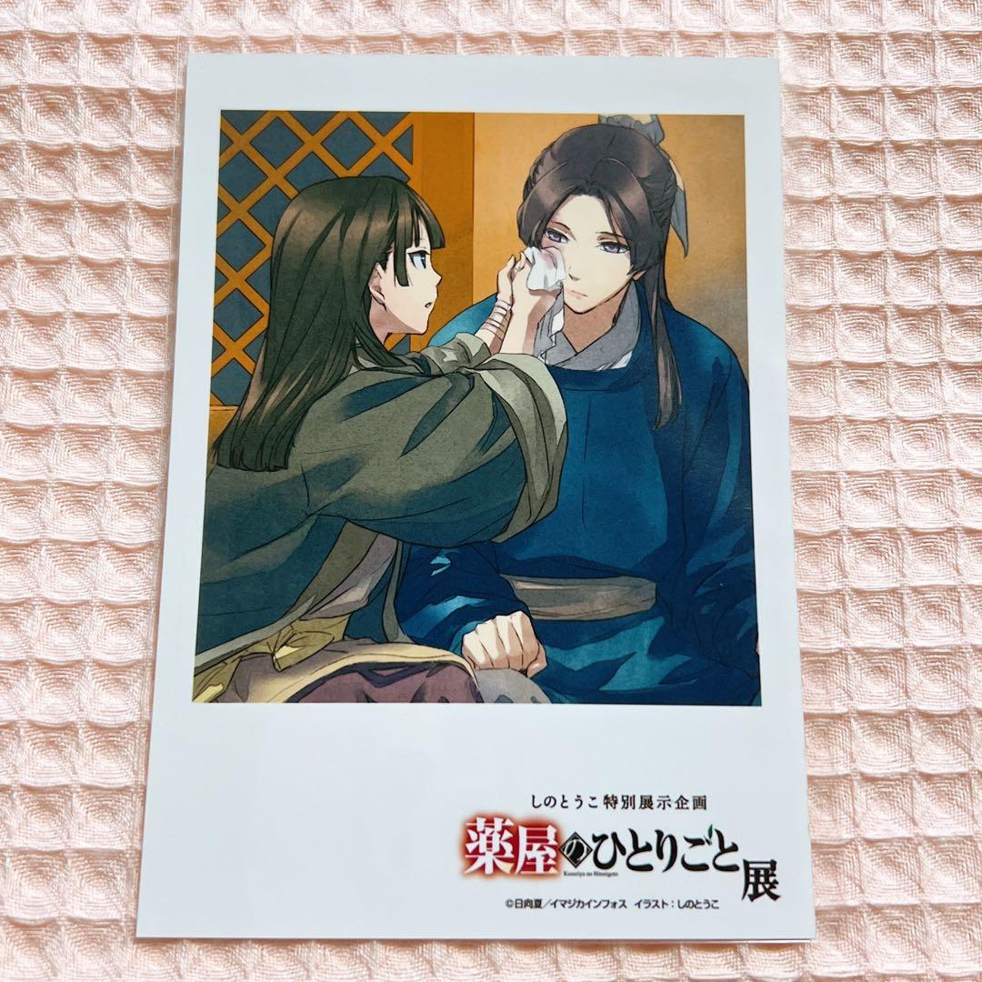 薬屋のひとりごと展 しのとうこ特別展示企画 購入特典 ブロマイド ⑥
