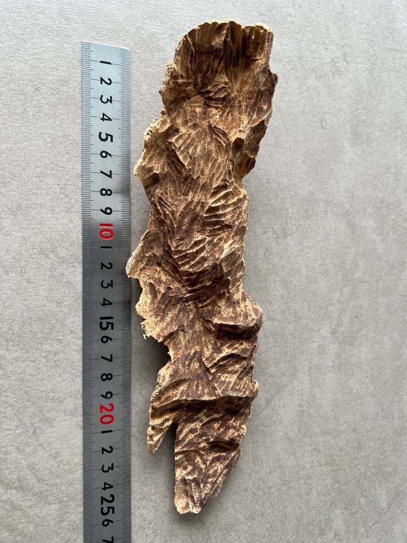 沈香 ベトナム産　お香素材 約20cm　41g 香木 ベトナム産 沈香 極上シャム 刻 1gの通販 - お香専門店香源