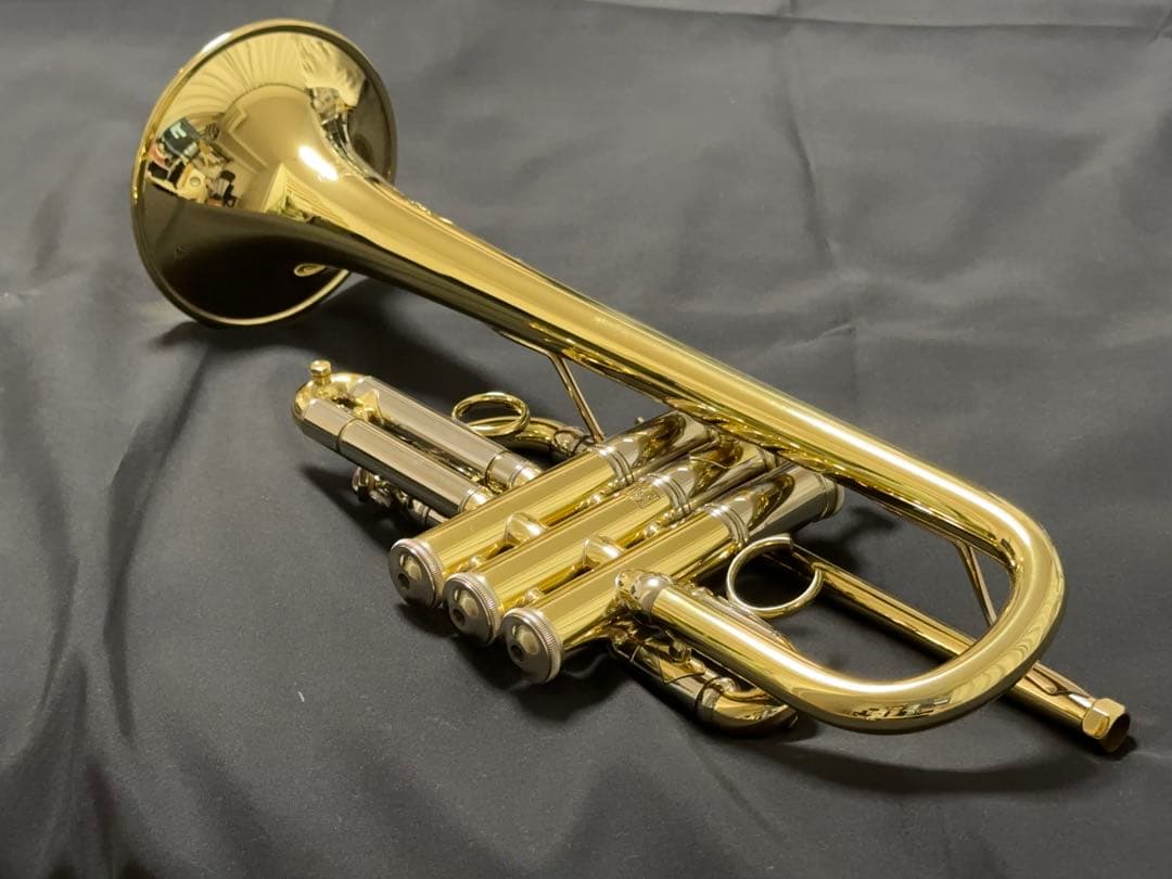 週末値下げ】V.BachアルティザンE♭管 AE190GL選定品 - メルカリ