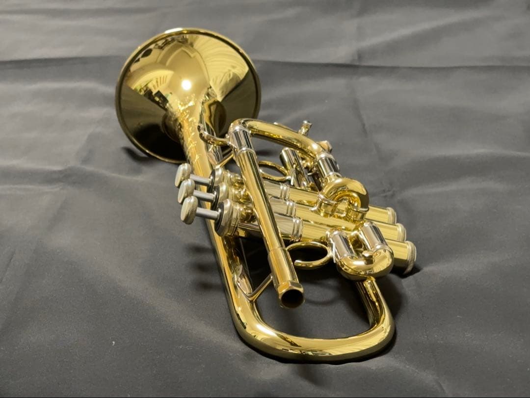 週末値下げ】V.BachアルティザンE♭管 AE190GL選定品 - メルカリ