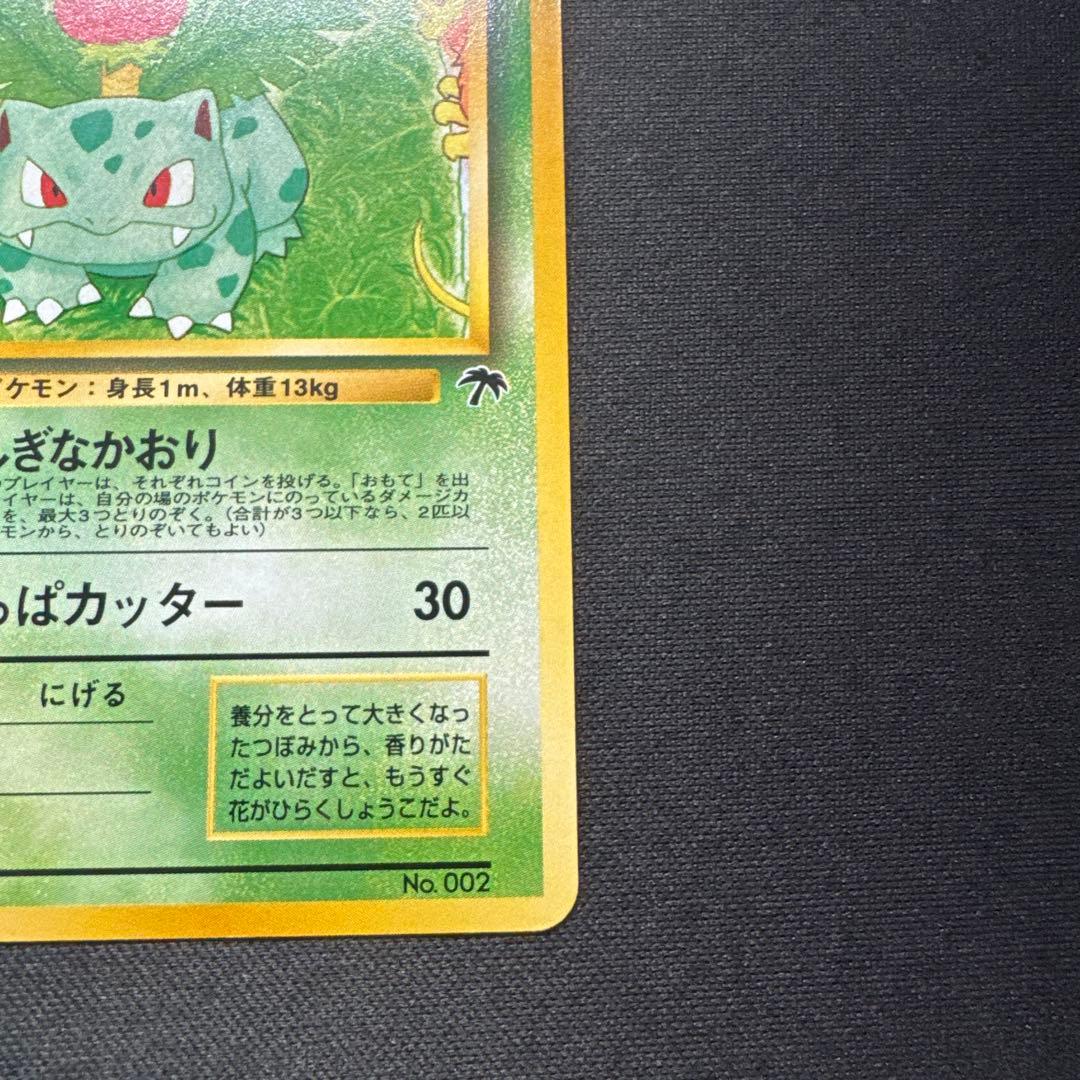 ポケモンカード 旧裏 フシギソウ サザンアイランド 映画公開記念セット