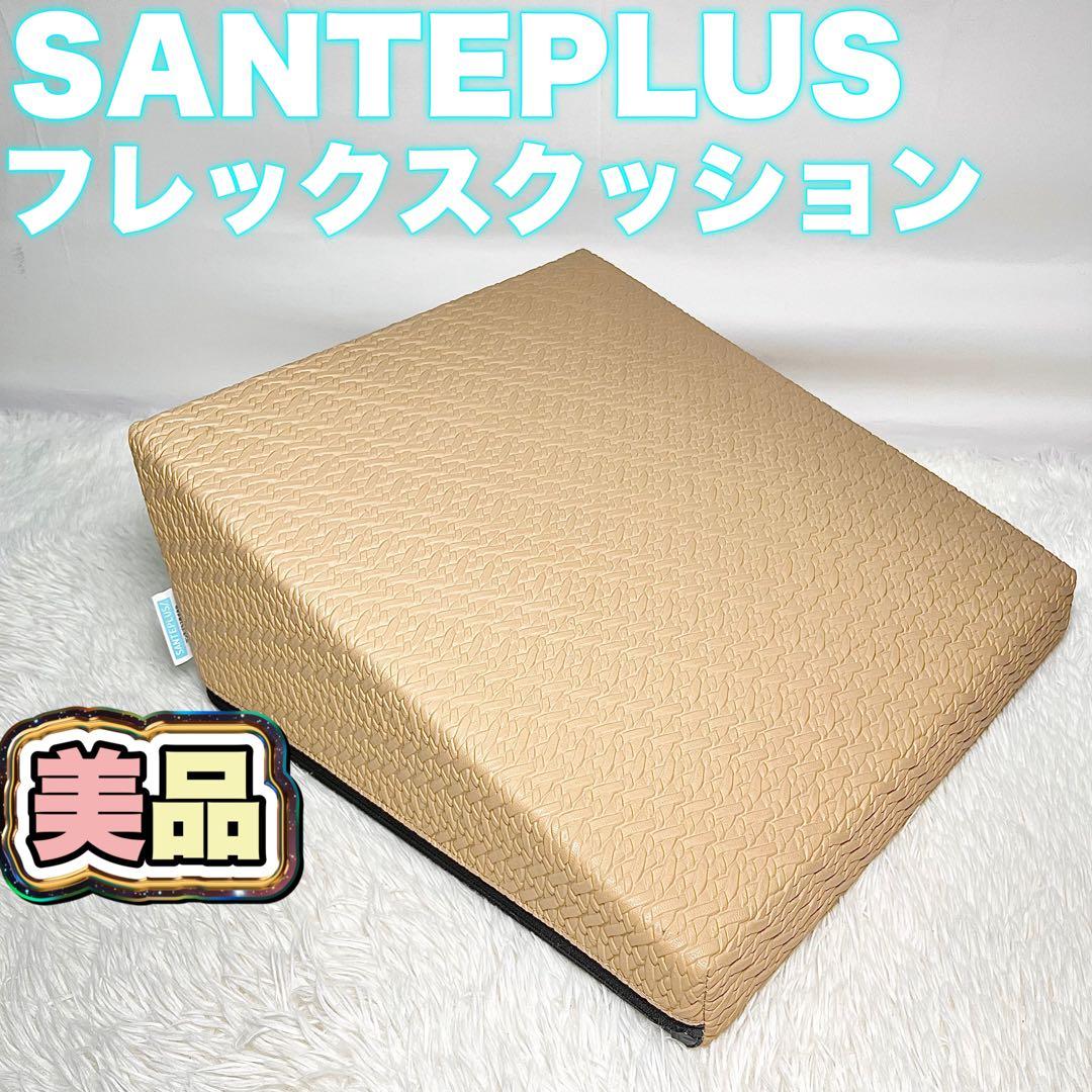 【美品】フレックスクッション 体幹 姿勢補正 SANTEPLUS