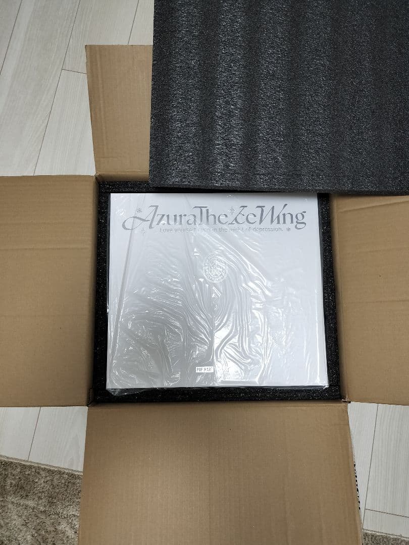 AZURA The Ice Wing ビッグサイズ - メルカリ