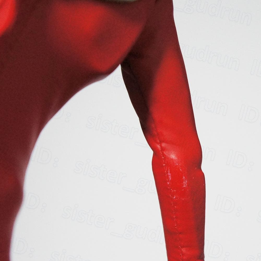 概ね美品】 RAH ウルトラマンレオ 1/6 フィギュア - メルカリ