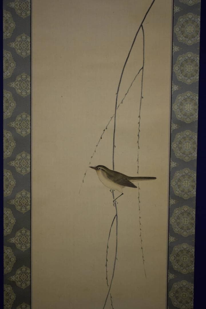 真作/芦渓/柳に鴬図/布袋屋掛軸HH-578 - メルカリ