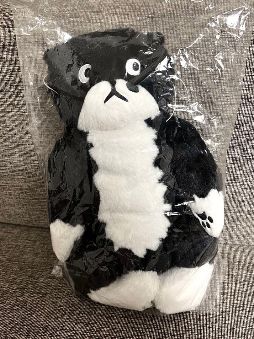 ハク様専用】アフタヌーンティー チェ・ヨンジュ 子猫のモー - メルカリ