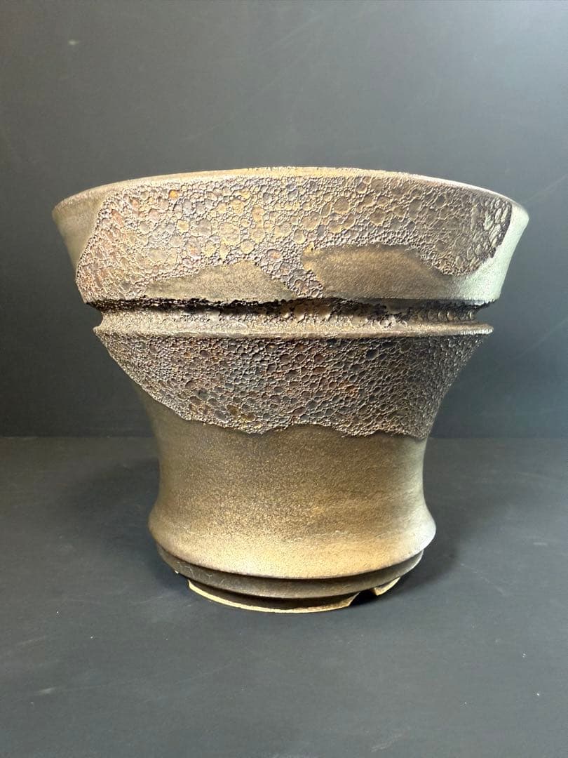 Wild Heaven 高級 陶器鉢 作家鉢 アガベ 塊根植物 観葉植物 A