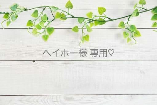 ヘイホー♡