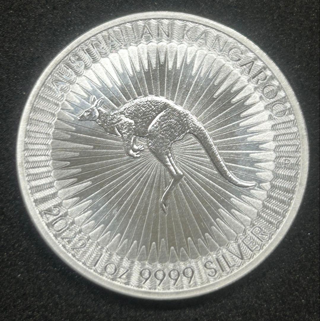 オーストラリア・カンガルー銀貨 2022年 1オンス ランダム 311027