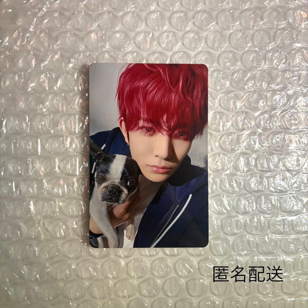 ENHYPEN ヒスン FC アンケート トレカ 2025