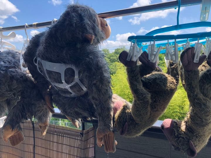 ジャンボ オラウータぬいぐるみ 2匹セット - メルカリ