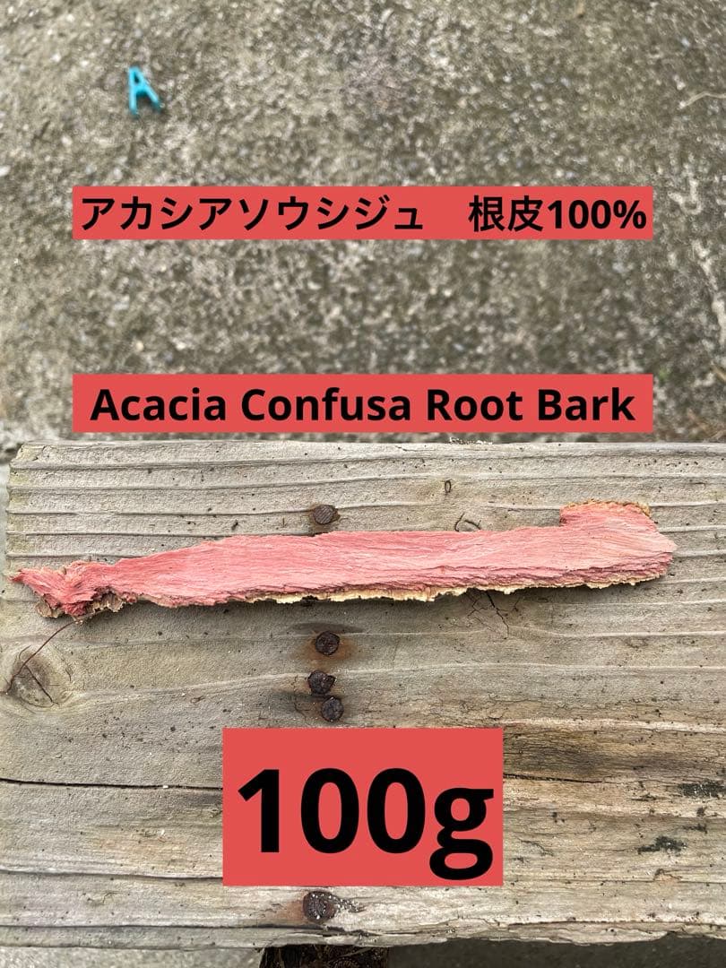 アカシア　Acacia ソウシジュ　相思樹　根皮100% 100g