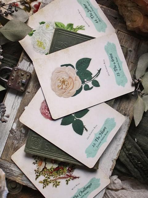 正規品オラクルカード】エレガントローズ色✨美しいヴィンテージ