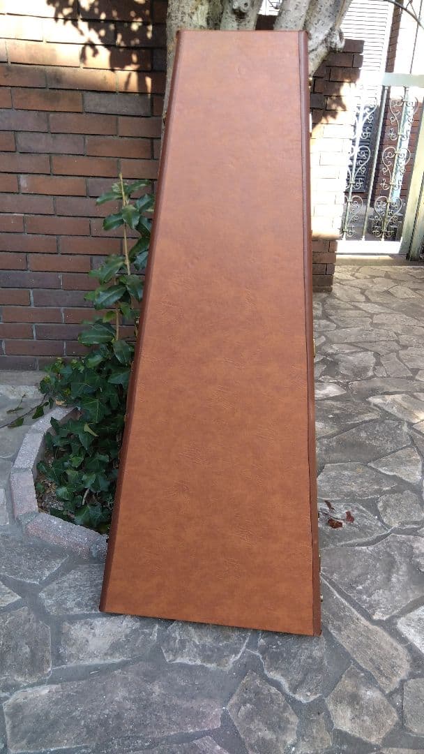 ビンテージマニアックス　ギブソンフライングＶ用ブラウン スリムケース