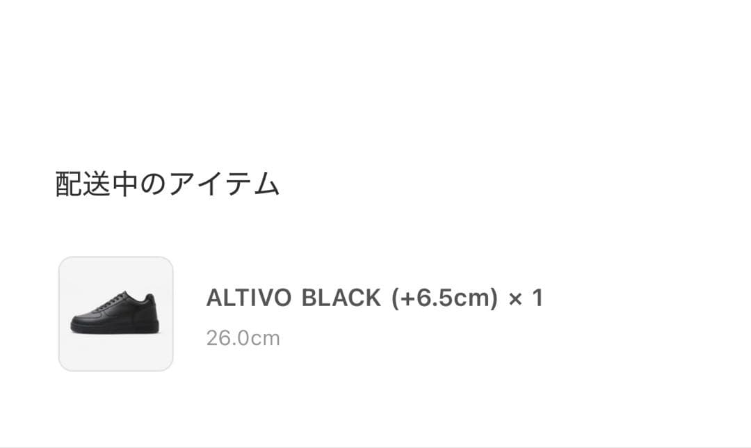 VERARUS ALTIVO 26.0cm 黒＋6.5cmシークレットスニーカー