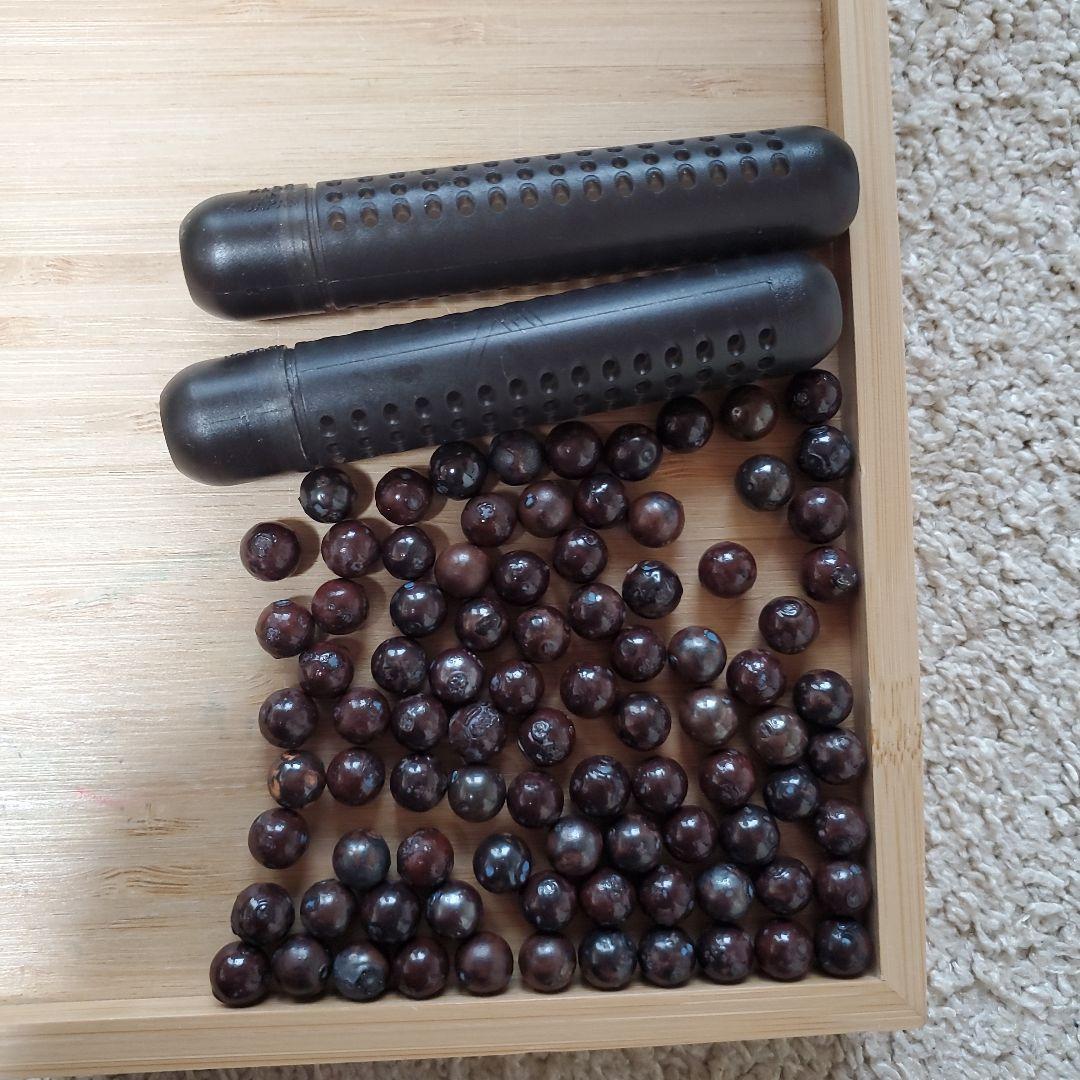 ワールドレップ　アースボール　ブルー81個　入れる専用容器2個