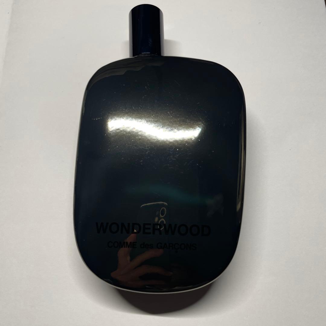 香水(男性用) COMME des GARCONS WONDEROUD 100ml