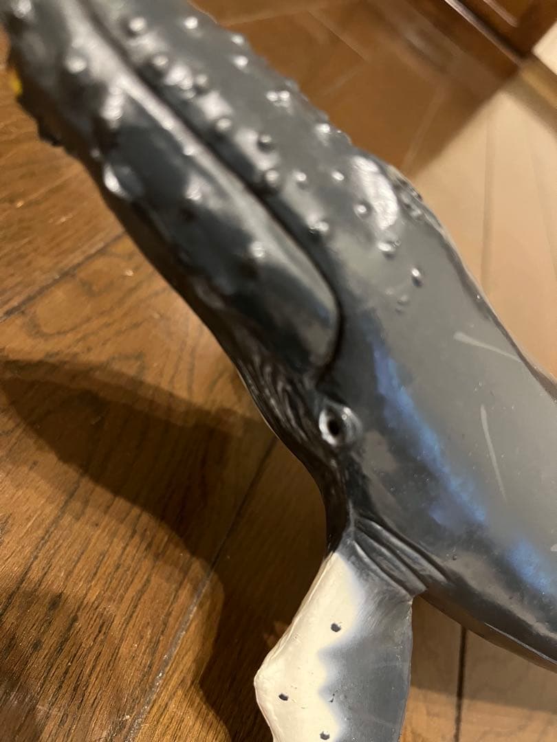 鯨　フィギュア　模型　ザトウクジラ　置物