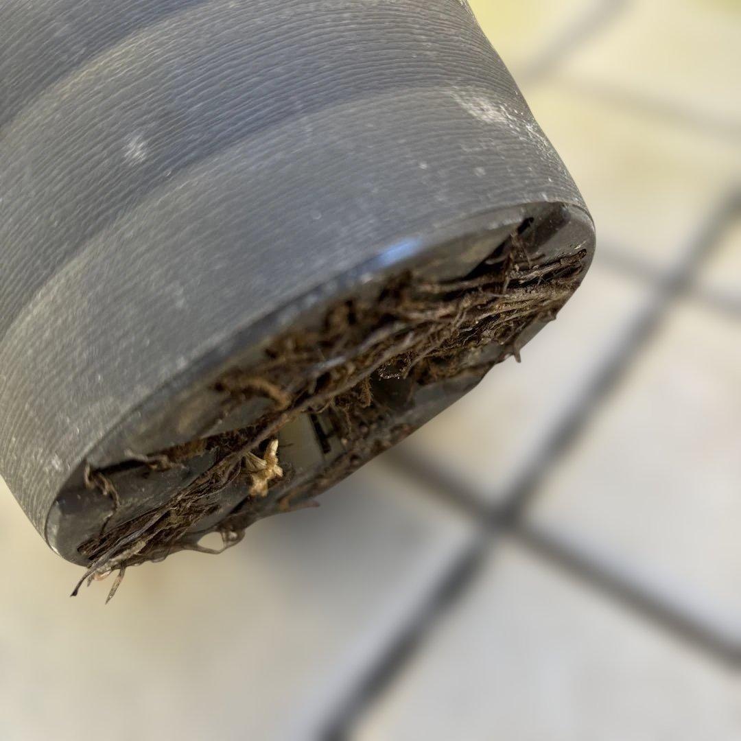 広瀬園芸 クリスマスローズ 開花株 匿名発送 ピンクオーレアセミダブル