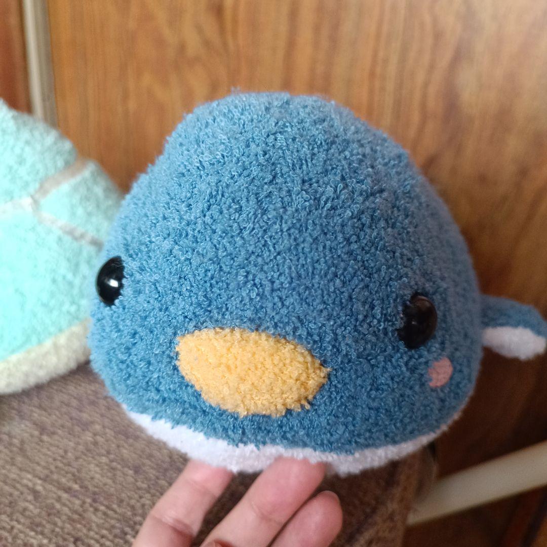 フリッカ ましゅまろせらぴ ましゅまろまりん ペンギン カメ 水族館