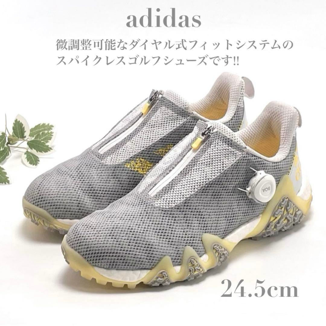 adidasコードカオス 22 ボア ゴルフシューズ 24.5cm グレー