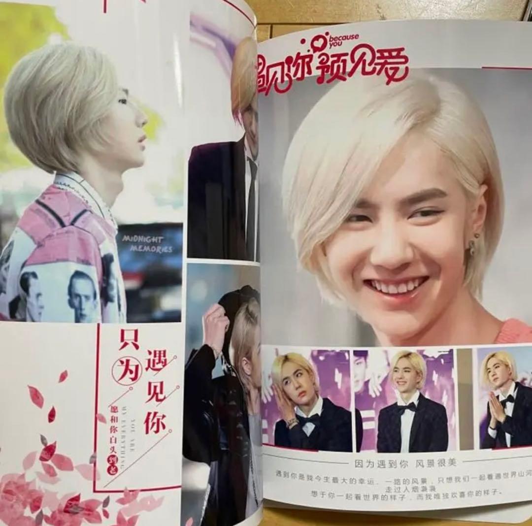 陳情令 王一博 白牡丹特集　写真集