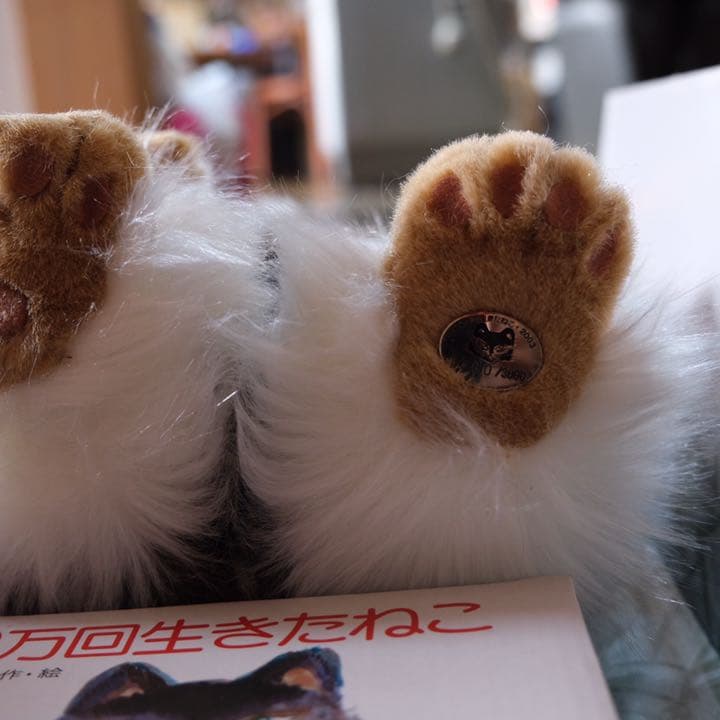 100万回生きたねこ 3000セット限定ぬいぐるみ 直筆サイン本付 - メルカリ