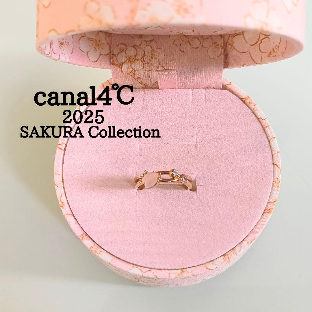 canal4℃　2025 サクラ コレクション　限定　桜　SV　リング　11号