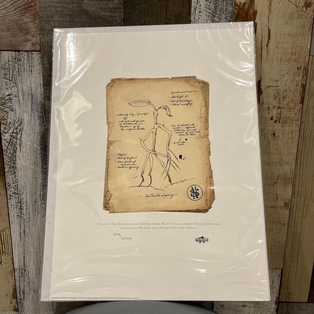 【世界限定 2000枚】ミナリマ the Bowtruckle Sketch