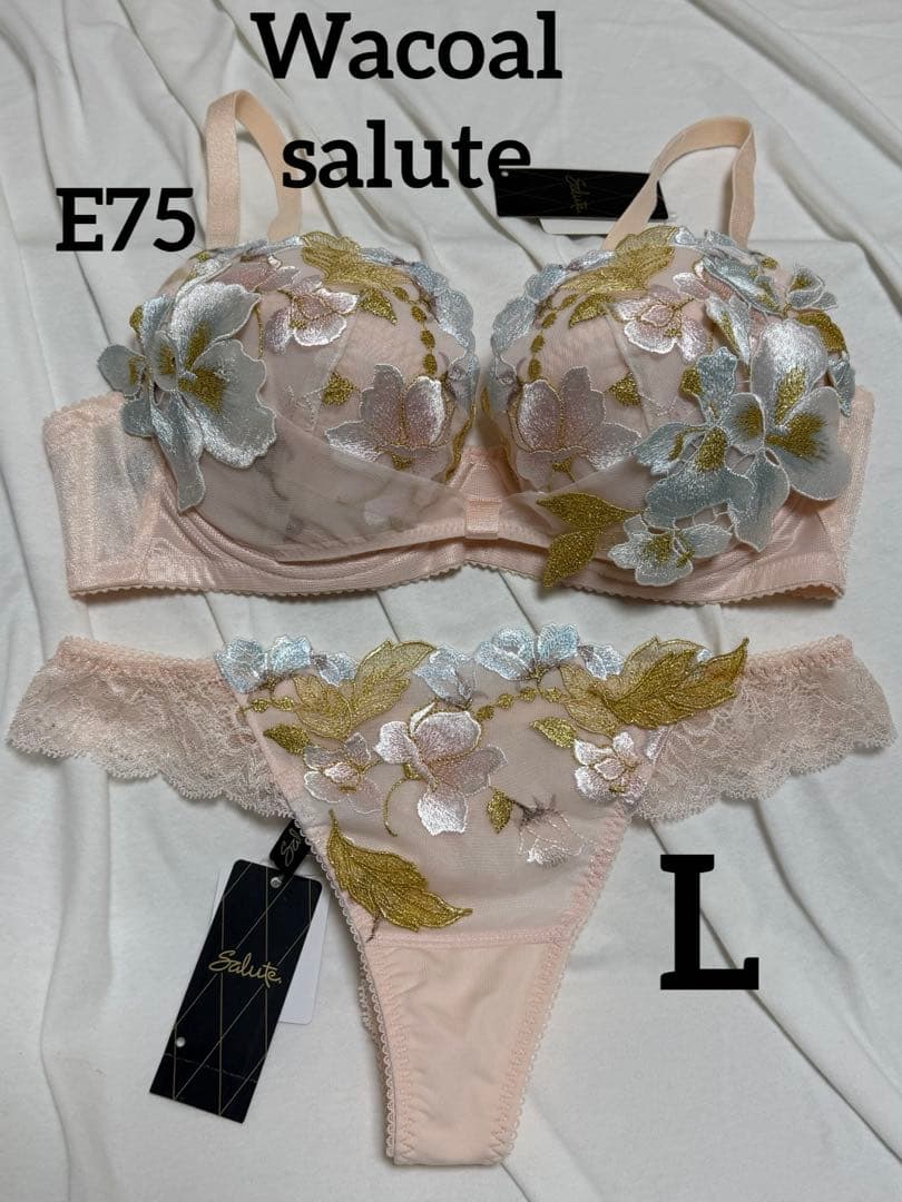 ワコール　サルート　ブラソングセットE75L