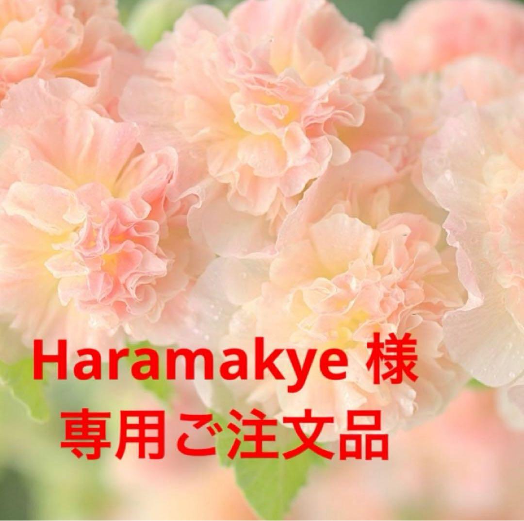 Haramakye ご注文品③