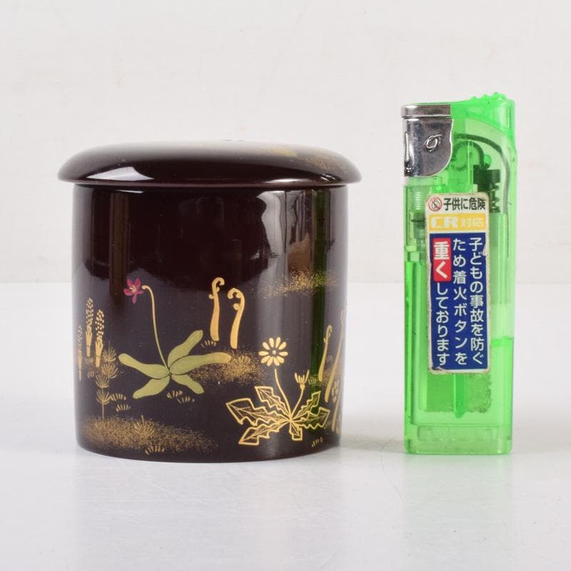 茶道具 輪島塗 元岡清斉作 春草蒔絵 金輪寺棗 共箱 V 7203 - メルカリ