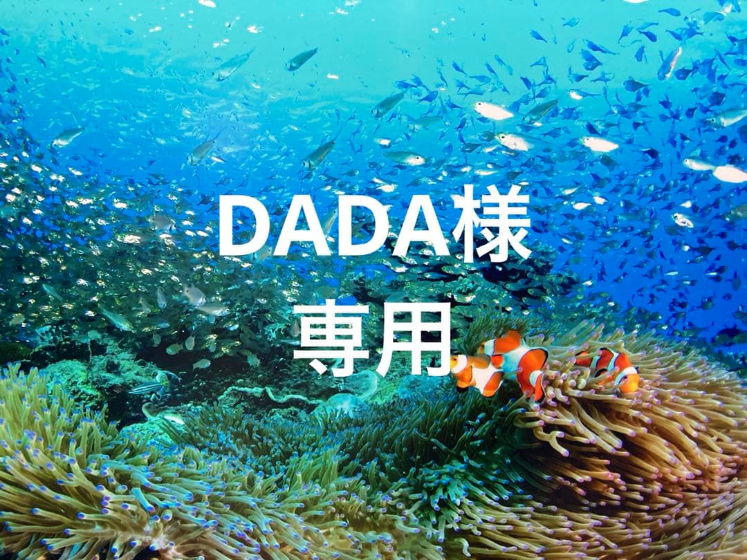 エンビロンモイスチャージェル2 Cクエンストーナー Cクエンスセラム4 プラス