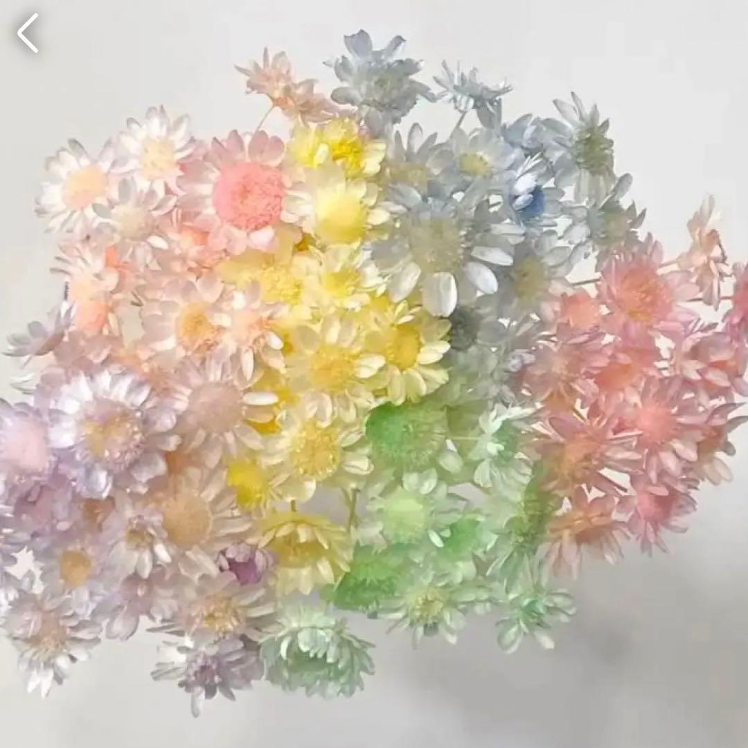 にゃーにゃ（プロフ必読）様 リクエスト 3点 まとめ商品 - メルカリ