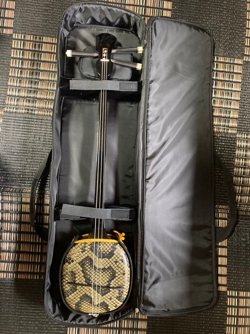 ヘビ柄 三線 本体 ケース付き