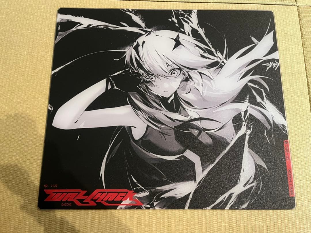 wallhack frenzy sora sp-004 ガラスパッド