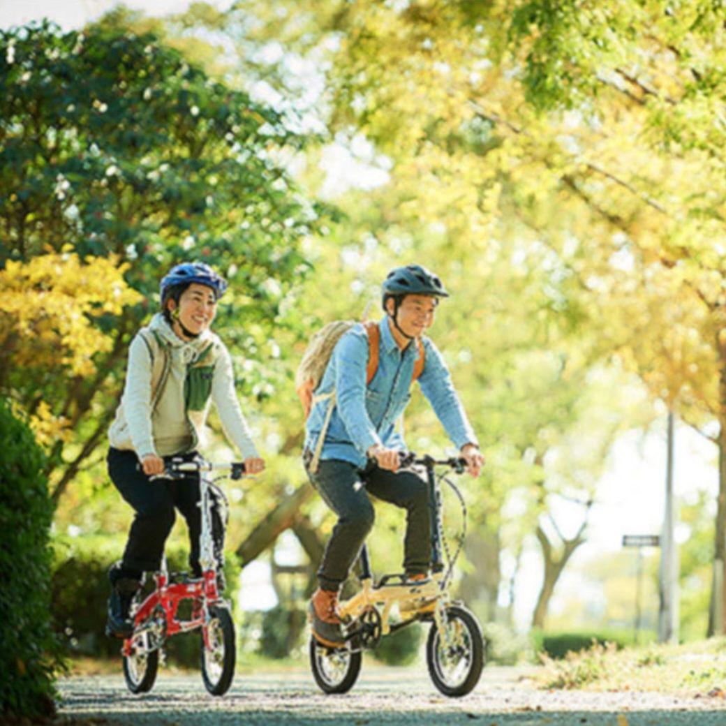 TACT【ジャンク品】LOG OUTRUNKBAA-P 14インチ Amazon.com: ZING 7294 RecycLockout Lockout Tagout, Universal Plug