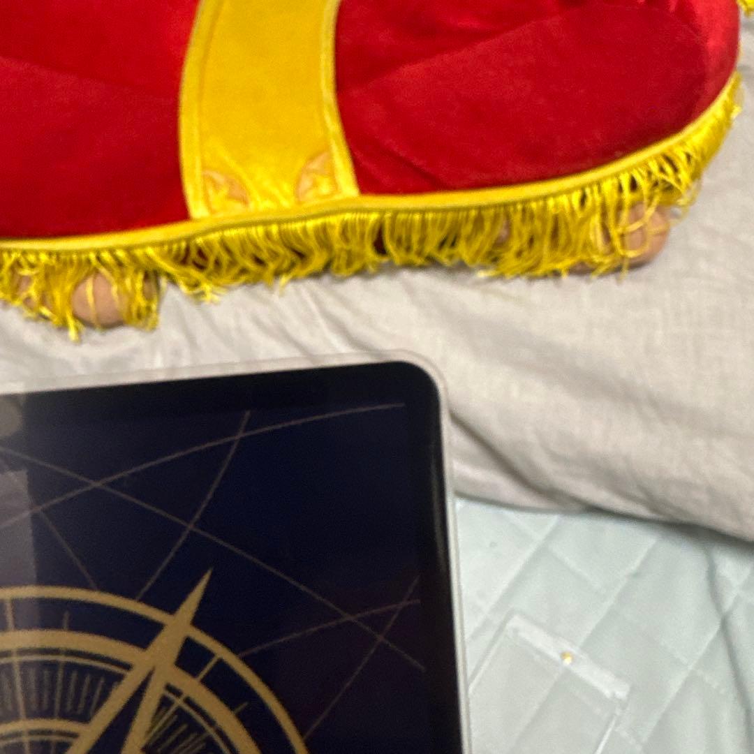 メ*◎様 ゼウスsp ワンピースカード エッグヘッドクライシス ナミ