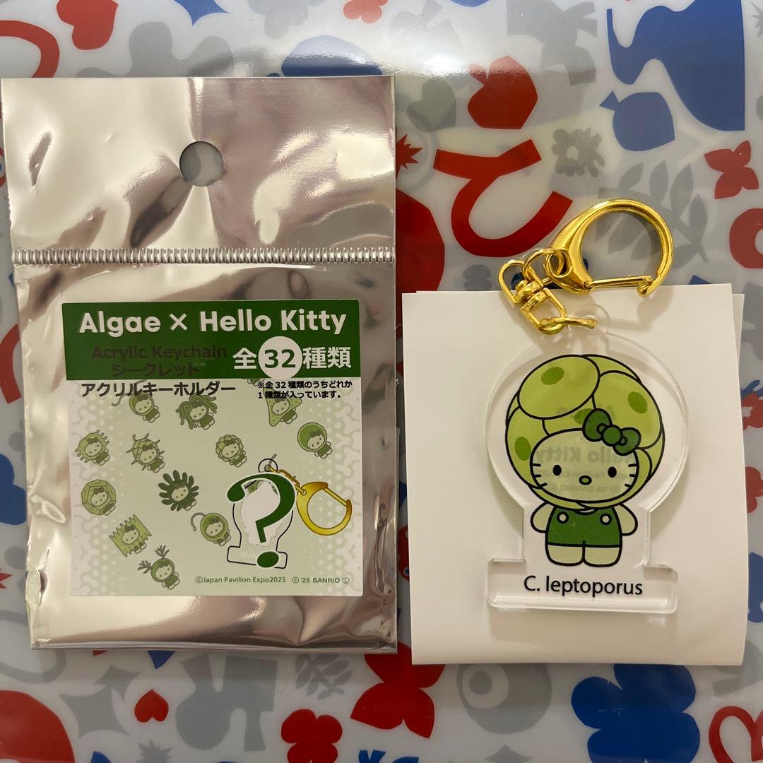 藻類ハローキティアクリルキーホルダー【カルシディスクス】① - メルカリ