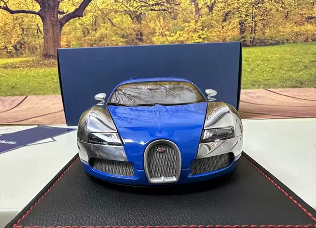 Bugatti Veyron 1/18スケルモデルミニカー