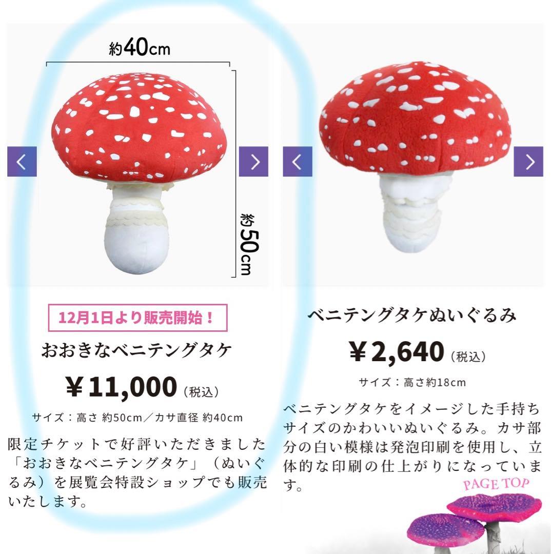 国立科学博物館 特別展「毒」おおきなベニテングタケ - メルカリ