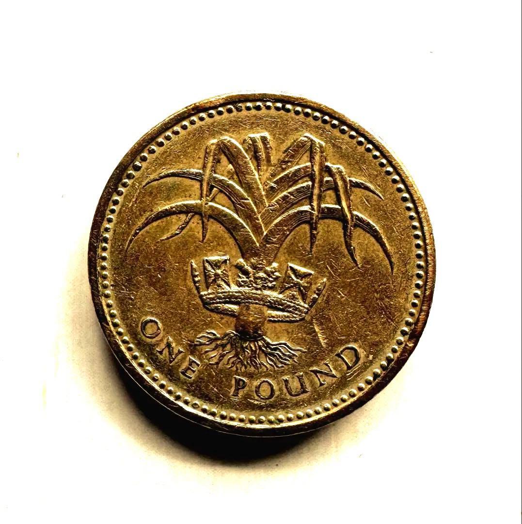 1985年 エリザベス女王 1ボンド硬貨 稀少品 特別刻印PLEIDIO Lあり